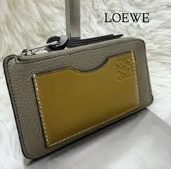 ✨️極美品✨️LOEWE ロエベ フラグメントケース コインカードホルダー