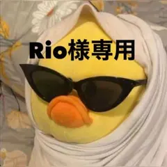 Rio様専用