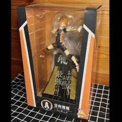 A賞 日向翔陽~ハイキューHappyくじ~