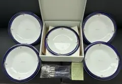 【未使用・箱付】レンジOK カレー パスタ皿 5客 & スプーン5本 セット深皿のサムネイル