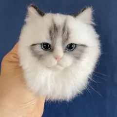 茶トラ白 猫 ハンドメイド ぬいぐるみ 作家 アートドール テディベア