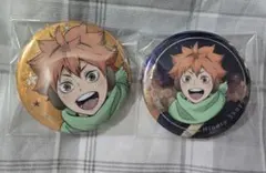 ハイキュー!!× よこはまコスモワールド 日向翔陽