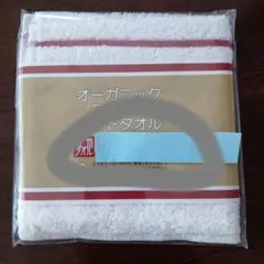 Item thumbnail for item d2b20307-5527-494f-ba0d-1a565ca2ad32