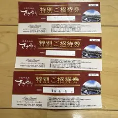 法恩寺温泉ささゆり特別ご招待券とビキッズパークご招待券セット