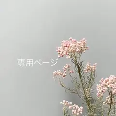 ♡心愛様専用ページ♡ドライフラワースワッグpinkflower♡ - メルカリ