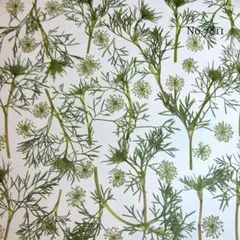 anan様 リクエスト 2点 まとめ商品