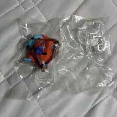 ワンピの実　ジンベエ