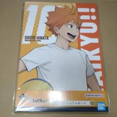 メモリアルボード　日向翔陽