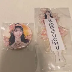 FRUITS ZIPPER 鎮西寿々歌 ラッフル アクスタ