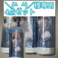 Item thumbnail for item 9671873a-aa71-417f-9a64-3365fa2f60d3