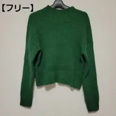 elgna グリーン ニット セーター【フリー】レディース トップス