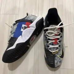さ*こ様 NIKE⭐︎ナイキ⭐︎大阪ナオミコラボエアズームGPターボ