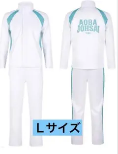 ハイキュー ジャージ 公式 ACOS 青葉城西 Lサイズ アニメイト ハイキュー ジャージ 公式 ACOS 青葉城西 Lサイズ アニメイト - メルカリ