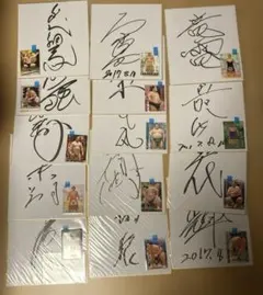 Item thumbnail for item 0cc7219c-81d4-49bd-b4aa-e7c482b4cd8a