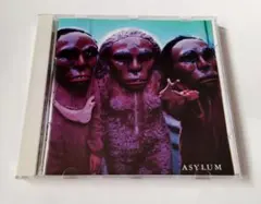 CD　アサイラム　ASYLUM　Gazelle