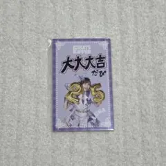 仲川瑠夏 ラッフル 新アー写公開記念 ミニフォトカード