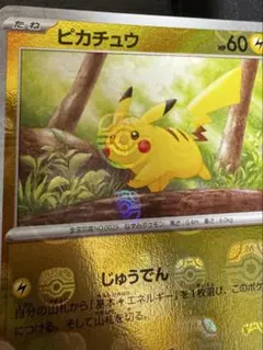 顔直撃】151 ピカチュウ マスターボールミラー - メルカリ
