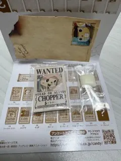 ワンピース チョッパーマグネットONEPIECE 手配書 WANTED