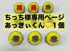 ちっち様専用ページ