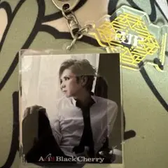 2026年最新】acid black cherry キーホルダーの人気アイテム - メルカリ