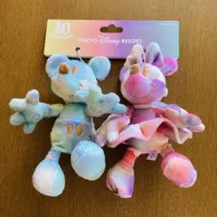 東京ディズニーリゾート 40周年 ぬいぐるみバッジ ミッキー＆ミニー セット