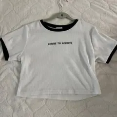 ストライプ Tシャツ 半袖 STRIVE TO ACHIEVE