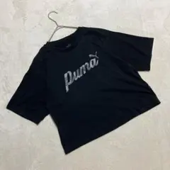 Item thumbnail for item 582a85c9-f344-476f-9a30-123489af8f05