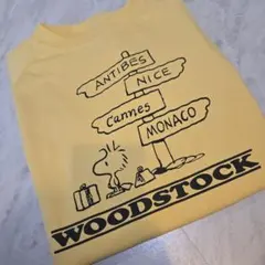 GU　ジーユー　キッズ　カットソー　Tシャツ　スヌーピーPeanuts　140