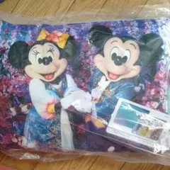 新品　ディズニーリゾート ブランケット　イマジニング 蜷川実花 ミッキー ミニー