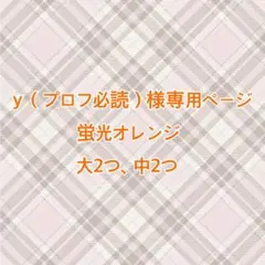 y（プロフ必読）様専用ページ