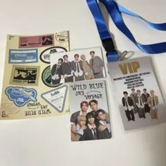 WILDBLUE トレカ 銀テ VIPパス　FC限定シール