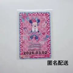【コレクション用】ミニー　リゾートライン　リゾラ　フリーきっぷ　こども