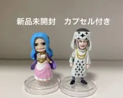 ワンピの実セット