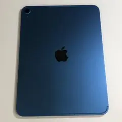 【ジャンク品】iPad A16 第11世代 256GB セルラー ジャンク品】iPad A16 第11世代 256GB セルラー - メルカリ