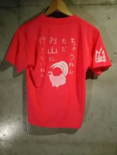 稀有 根本不是T恤 金剛山 1125M 山頂限定販售♡免運費