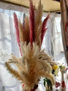 Item thumbnail for item 5dca9846-6e21-4c66-8b5e-5998152a7125