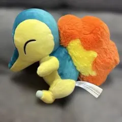 ポケモンセンター限定 ヒノアラシ ぬいぐるみ タグ付き - メルカリ