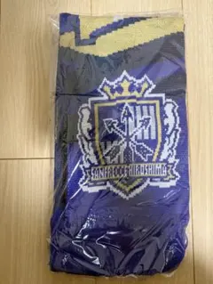 サンフレッチェ広島 2022 ルヴァンカップ優勝記念 クッション - メルカリ