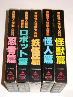 仮面ライダーアギト ガオレンジャー 2001年ヒーローヴィジョン 資料本