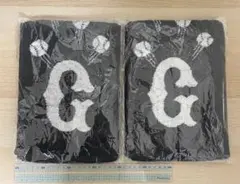 Item thumbnail for item 5a9aeab2-1511-4efa-9eb9-a8f06a2a1d17