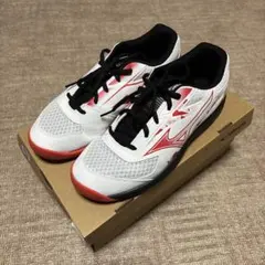 MIZUNO バドミントンシューズ 27.0cmのサムネイル