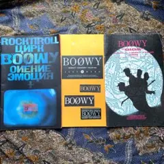 BOOWY レコードセット 半券あり 2026年最新】BOOWY チケット半券の人気アイテム - メルカリ