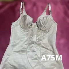 Item thumbnail for item 0825156b-8940-4e67-a1f0-c0de6279e5b4