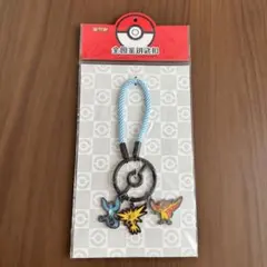 海外限定 !】サンダー ファイヤー フリーザー ポケモン 金属製