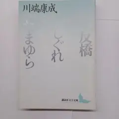 Item thumbnail for item c8709896-5961-4a7d-9d8f-3bca633748ac