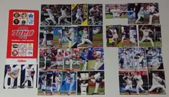2024プロ野球チップスカード&カードケース　(匿名配送)