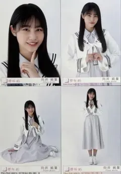 2025年最新】向井純葉 生写真の人気アイテム - メルカリ