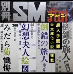 絶版】秘小説87年10月 千草忠夫 結城彩雨 前田寿按 楡畑雄二 椋陽児 他