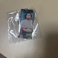 大相撲　ガチャ　大関琴櫻　スティックキーホルダー