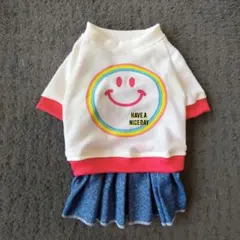 Item thumbnail for item 2203c13f-6dce-4703-b86d-0ac140653788